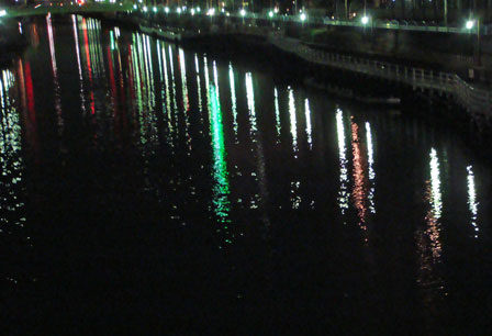 DSC08217夜の川1.jpg