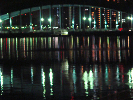 DSC08979夜の橋2.jpg